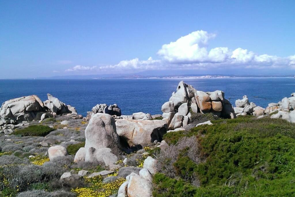 Una Splendida Terrazza Sul Mare Santa Teresa Gallura Exterior photo
